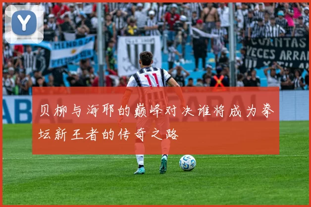 贝柳与海耶的巅峰对决谁将成为拳坛新王者的传奇之路