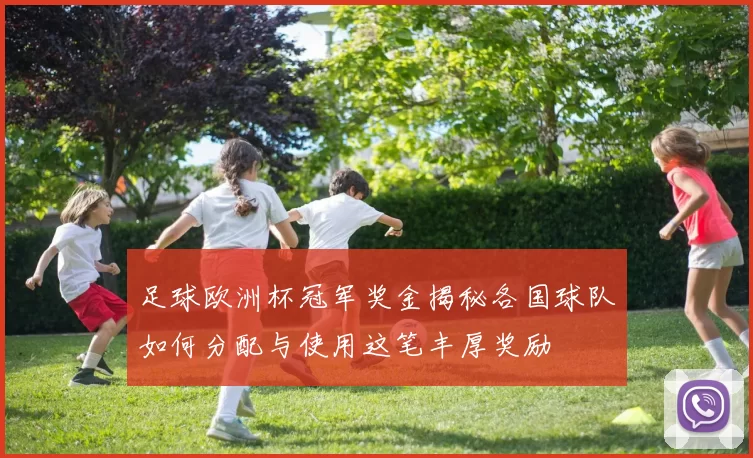 足球欧洲杯冠军奖金揭秘各国球队如何分配与使用这笔丰厚奖励