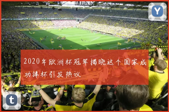 2020年欧洲杯冠军揭晓这个国家成功捧杯引发热议